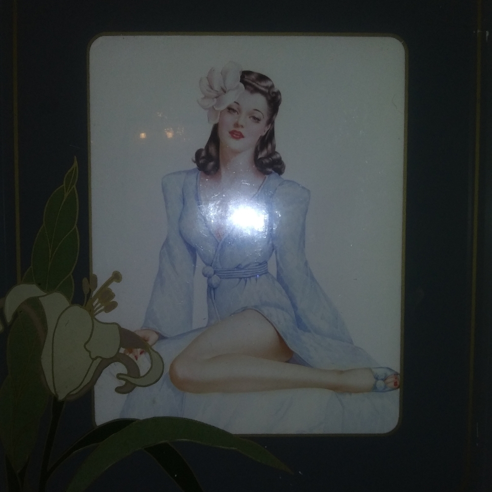 Pinup girl under beautiful glass frame